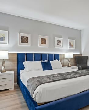 Spotless stays